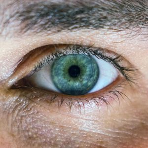 Makuladegeneration – neues Forschungsprojekt